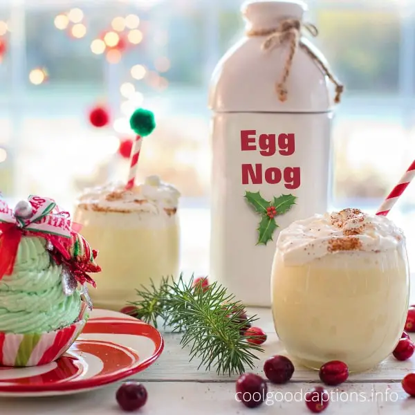 Eggnog Instagram Captions