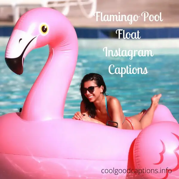 Flamingo Pool Float Instagram Captions