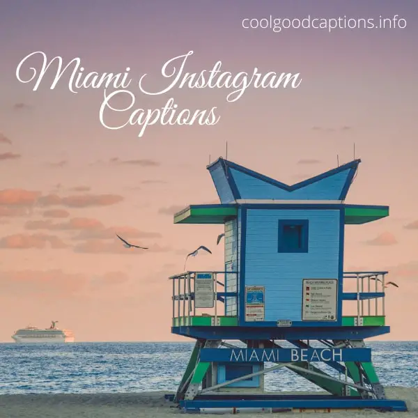 Miami Captions for Instagram