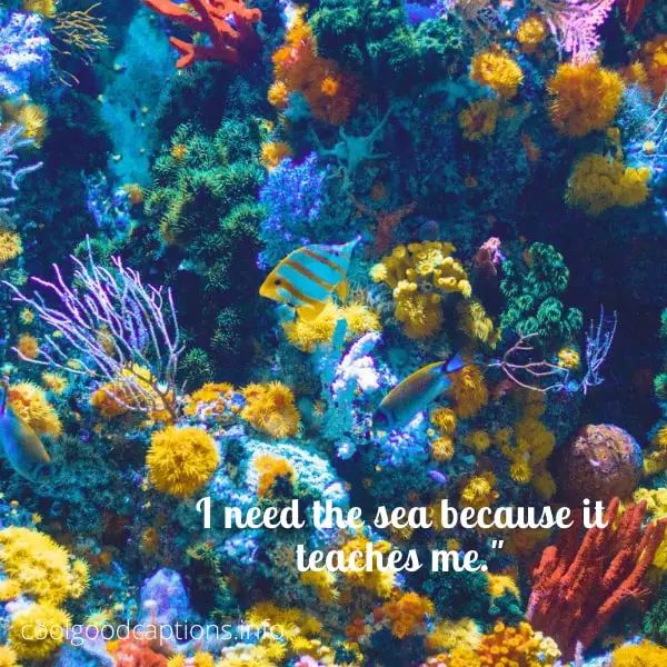 SeaWorld Quotes For Instagram
