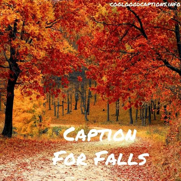 Captions For Fall