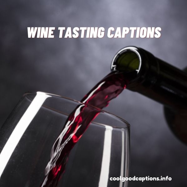Wine Tasting Captions