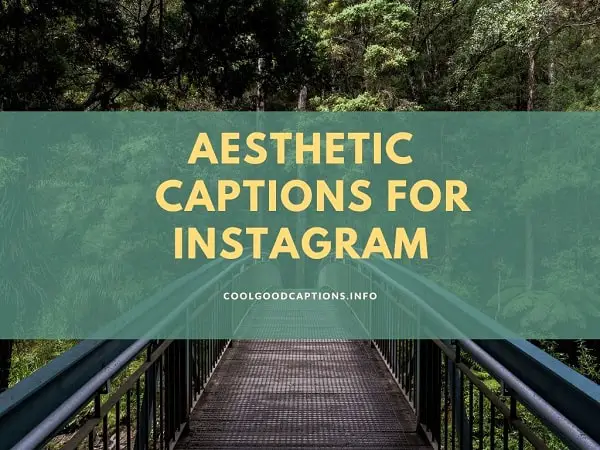 Aesthetic Captions For Instagram