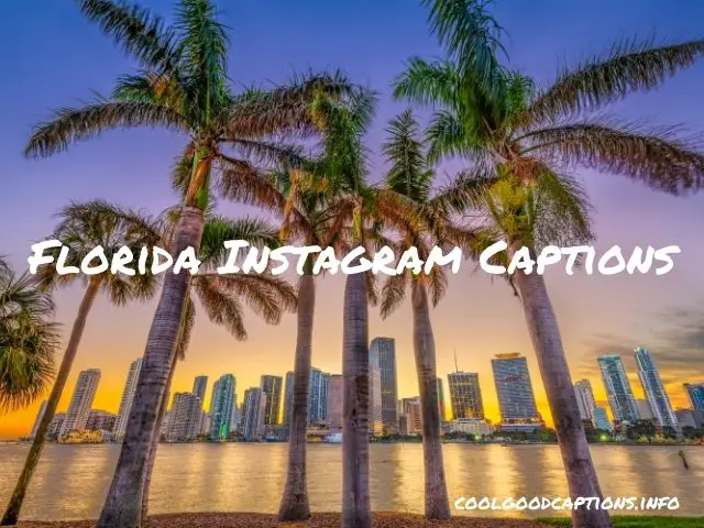 Florida Instagram Captions