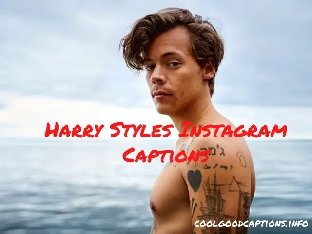 Harry Styles Instagram Captions