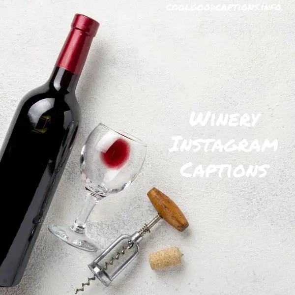 Winery Instagram Captions
