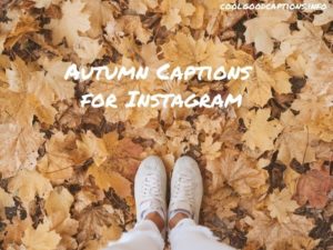 IAutumn Captions