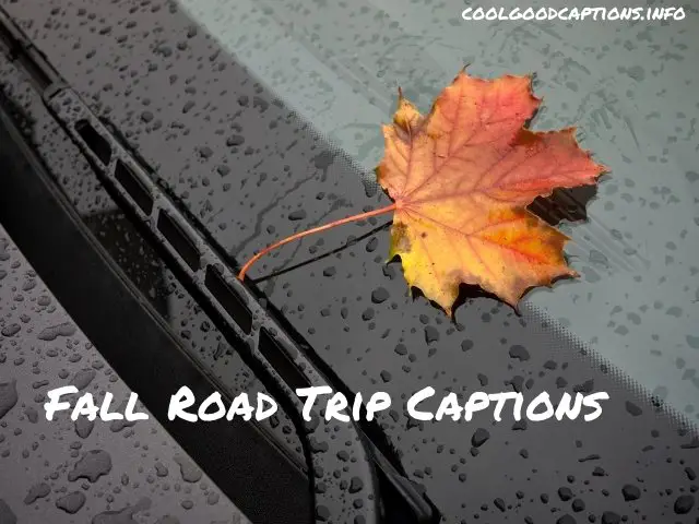 Fall Road Trip Captions