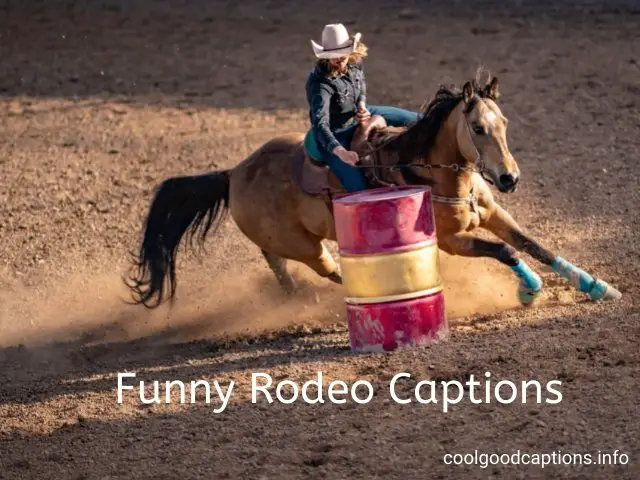 Funny Rodeo Captions