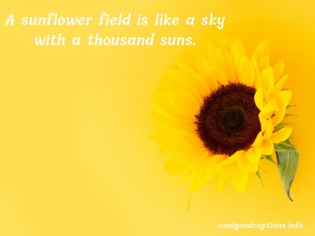 Happy Sunflower Quotes Short