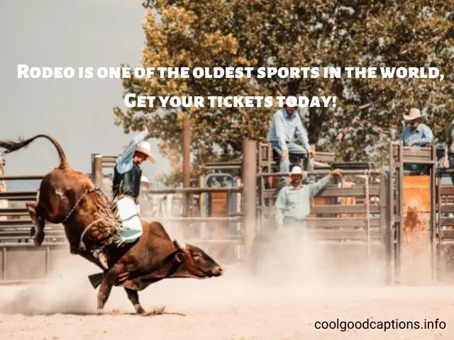 Rodeo Quotes