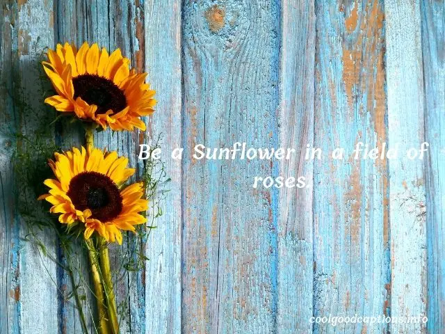 Short Sunflower Quotes