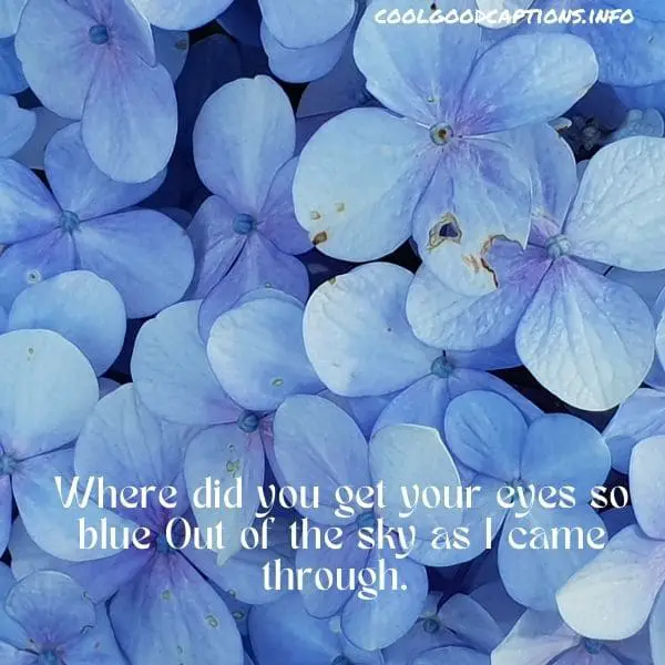 Blue Quotes For Instagram