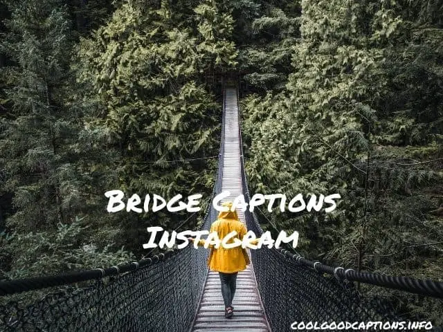 Bridge Captions Instagram