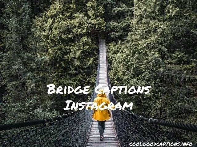 Bridge Captions for Instagram