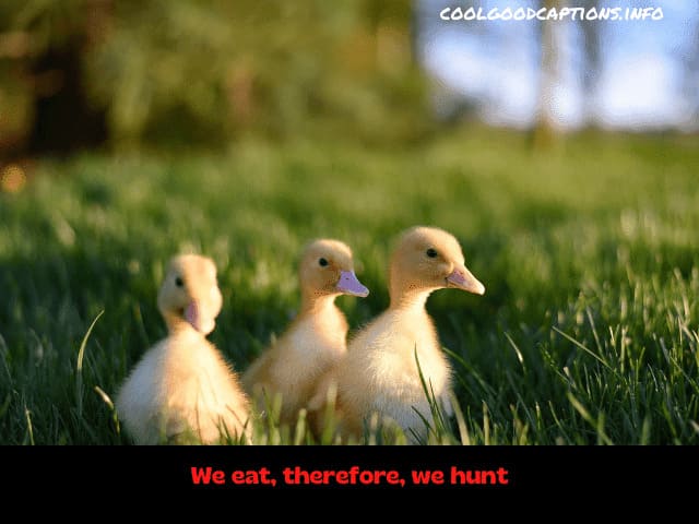 Duck Hunting Instagram Captions