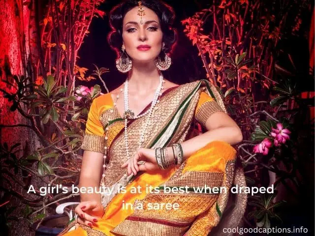 Ethnic Saree Captions for Instagram