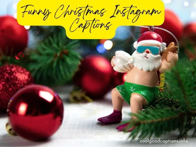 Funny Christmas Instagram Captions