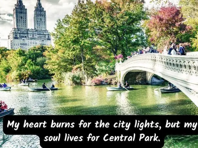 60 Central Park Instagram Captions for Incredible Posts 2023