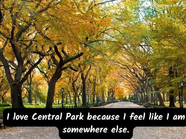 Central Park Captions