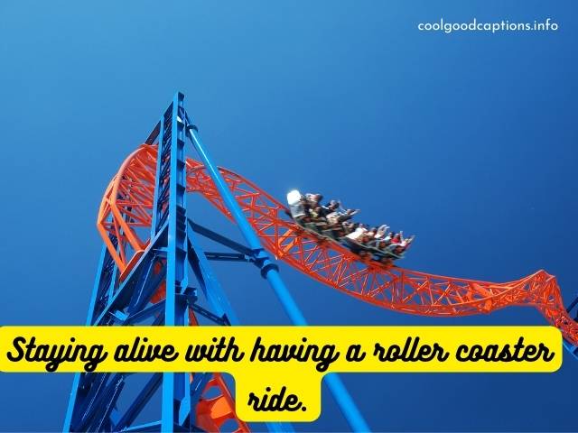 Creative Roller Coaster Captions
