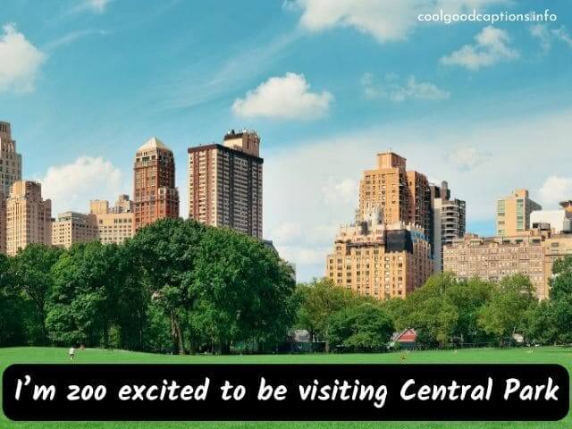 Funny Instagram Captions for Central Park