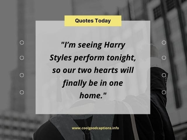 Inspired Harry Styles Instagram Captions