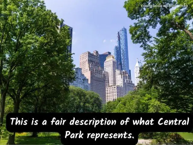 Instagram Captions For Central Park