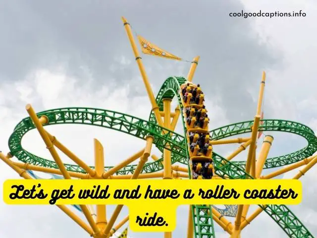 Roller Coaster Puns