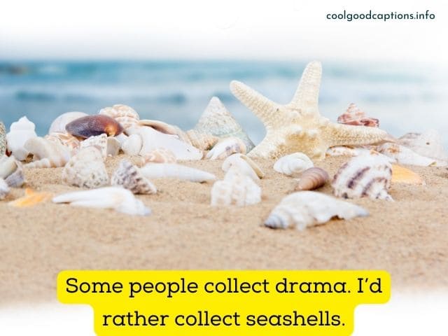 Best Seashell Puns