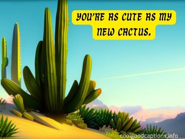 Cactus Instagram Captions