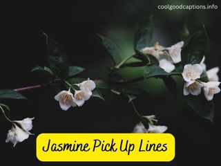 Jasmine Pick Up Lines