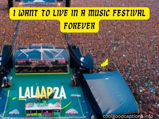 Lollapalooza Instagram Captions