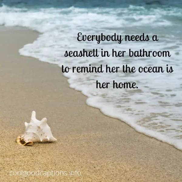 Seashell Quotes For Instagram