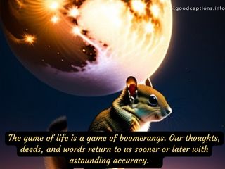 Life Is A Boomerang Quotes