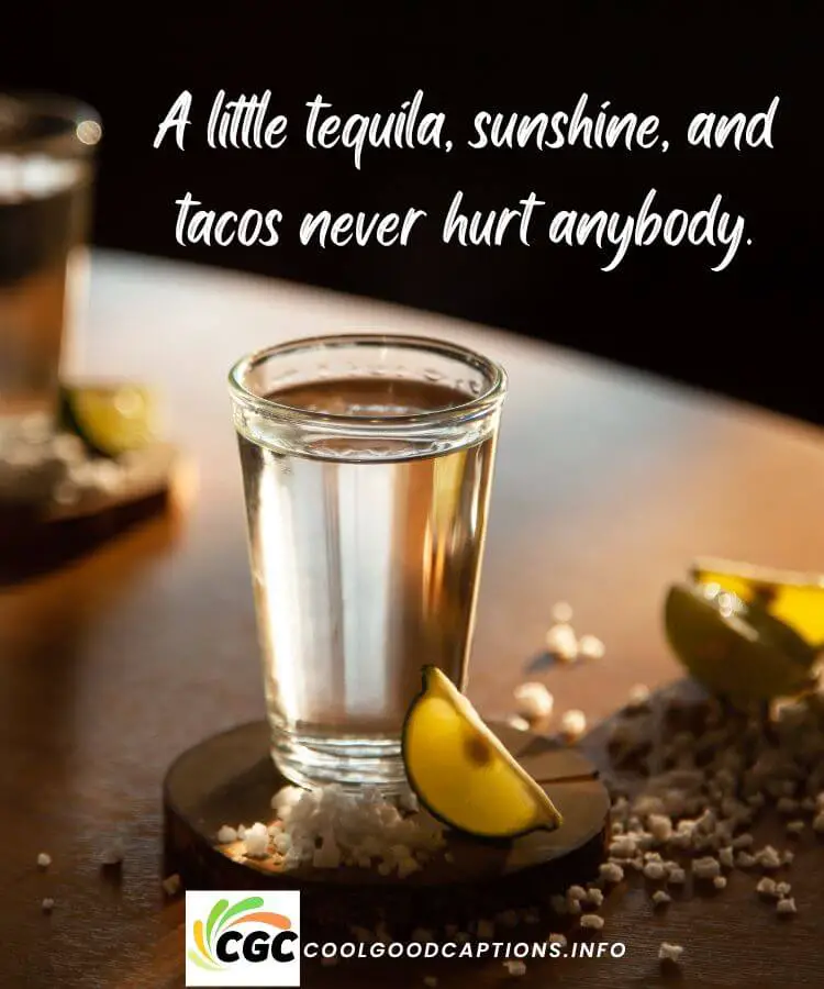 Quotes About Tequila and Friends