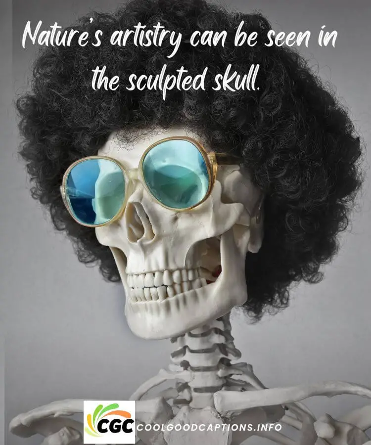 Skull Quotes for Instagram