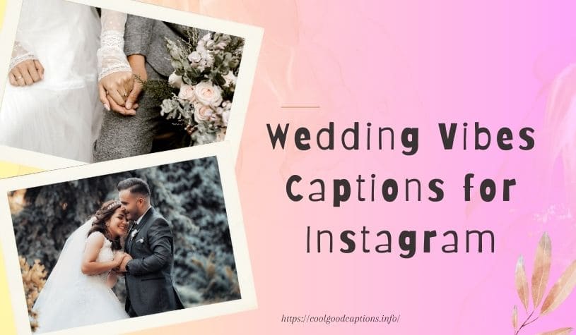 Wedding Vibes Captions for Instagram